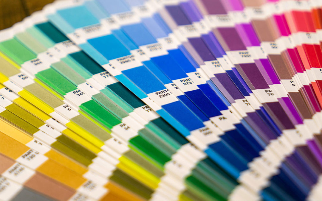 The Evolution of the Festival Brand